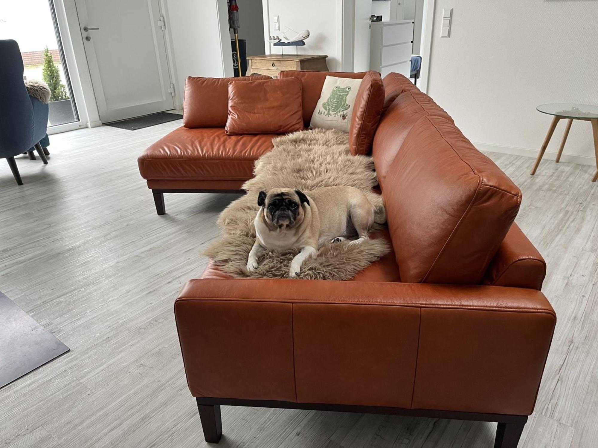 Ferienwohnung Nr 5 Wunstorf Extérieur photo